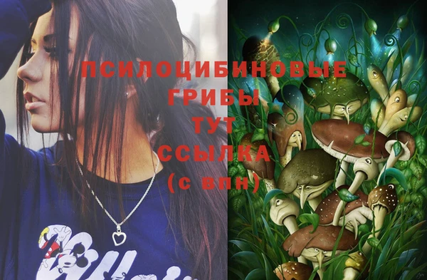 прущие крисы Покачи