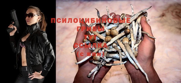 хмурый Алексеевка