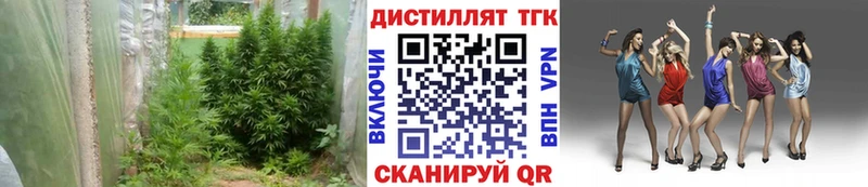 закладки ссылка на мегу онион ТГК вейп Миньяр