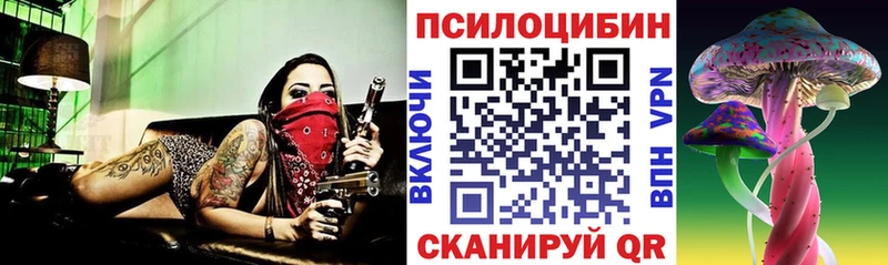 MEGA ONION  Миньяр  Галлюциногенные грибы Cubensis 